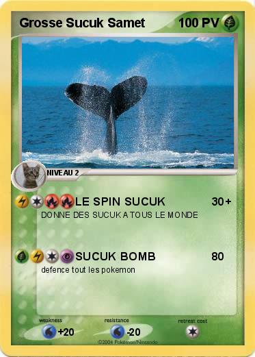 Pokemon Grosse Sucuk Samet