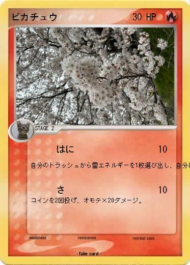 Pokemon ピカチュウ