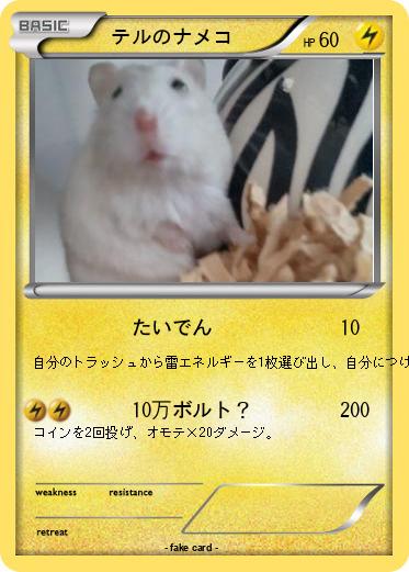 Pokemon 　テルのナメコ