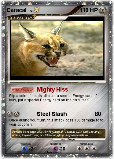 Pokemon Caracal