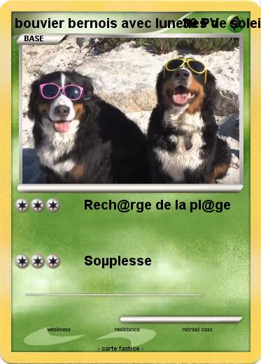 Pokemon bouvier bernois avec lunettes de soleil