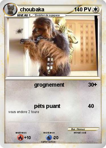 Pokemon choubaka