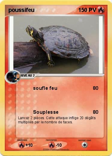 Pokemon poussifeu