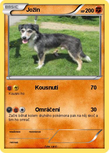 Pokemon Jožin