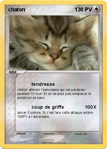 Pokemon chaton
