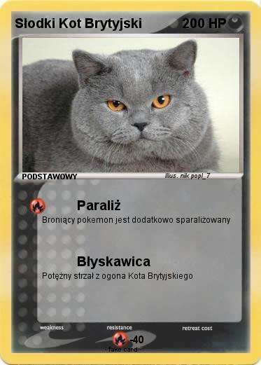 Pokemon Słodki Kot Brytyjski