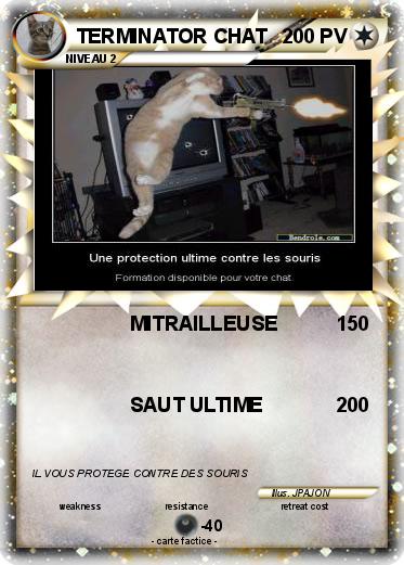 Pokemon TERMINATOR CHAT