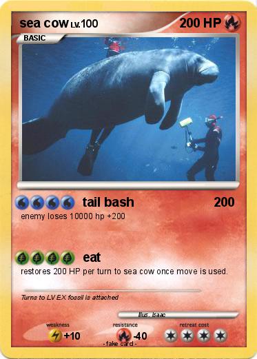 Pokemon sea cow