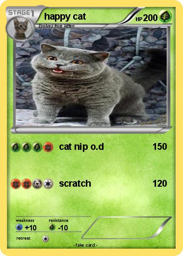 Pokemon happy cat