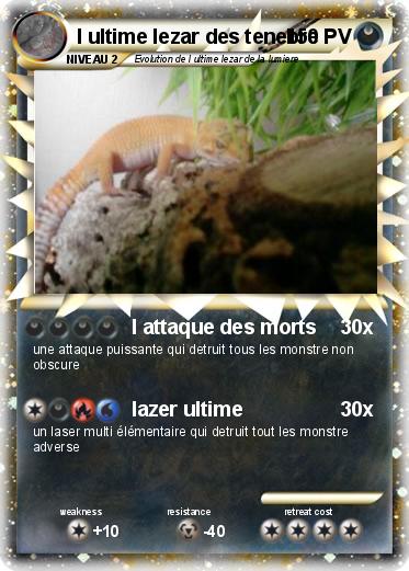 Pokemon l ultime lezar des tenebre