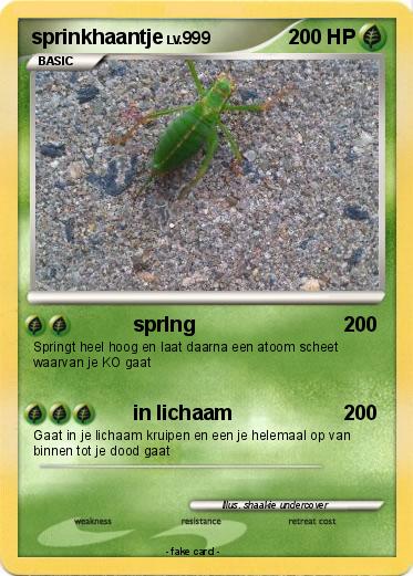 Pokemon sprinkhaantje