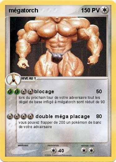 Pokemon mégatorch