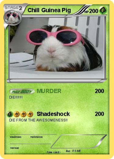 Pokemon Chill Guinea Pig