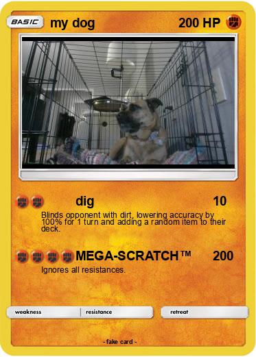Pokemon my dog