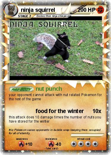 Pokemon ninja squirrel