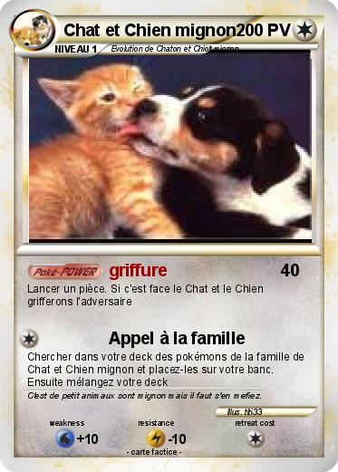 Pokemon Chat et Chien mignon
