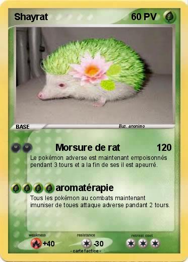 Pokemon Shayrat