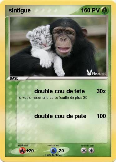 Pokemon sintigue