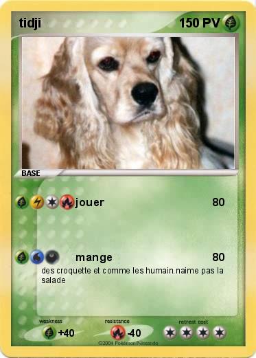 Pokemon tidji