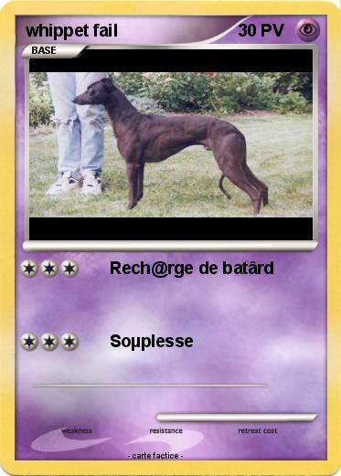 Pokemon whippet fail