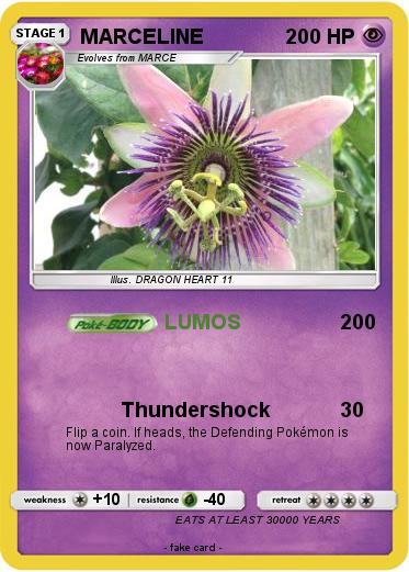Pokemon MARCELINE