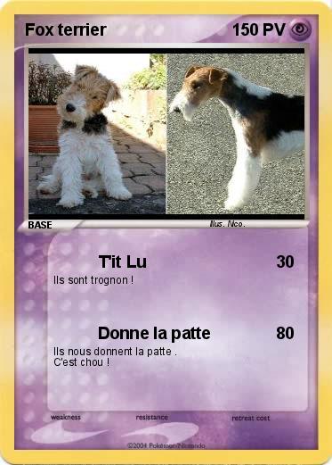 Pokemon Fox terrier
