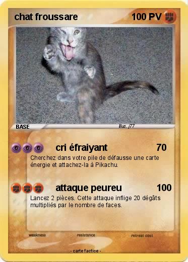 Pokemon chat froussare