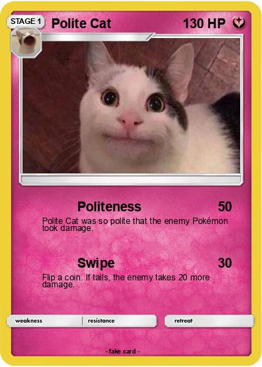 Pokemon Polite Cat