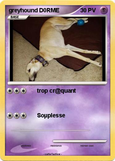 Pokemon greyhound D0RME