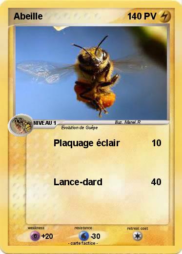 Pokemon Abeille