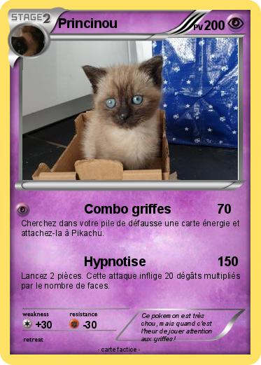Pokemon Princinou