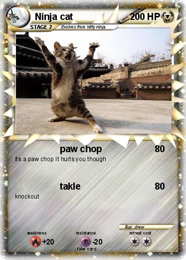 Pokemon Ninja cat