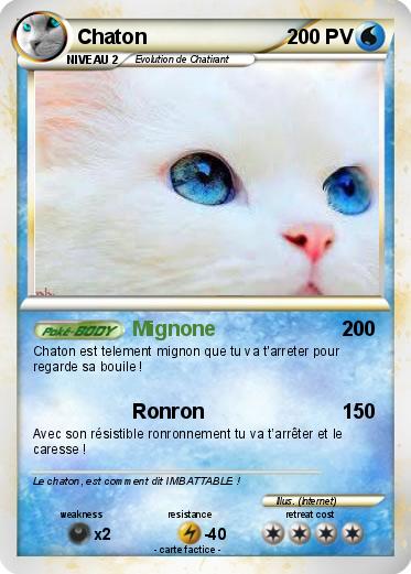 Pokemon Chaton