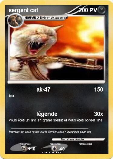 Pokemon sergent cat