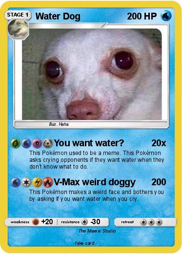 Pokemon Water Dog