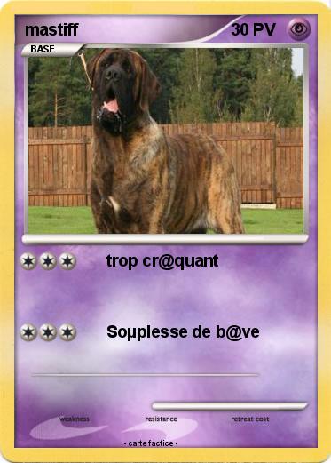 Pokemon mastiff