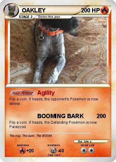 Pokemon OAKLEY