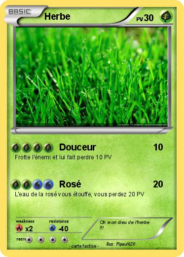 Pokemon Herbe