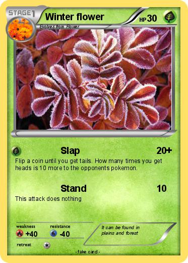 Pokemon Winter flower