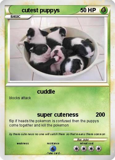 Pokemon cutest puppys
