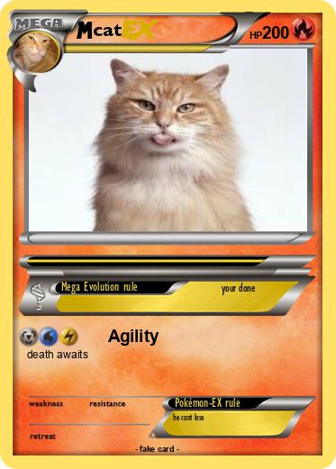 Pokemon cat