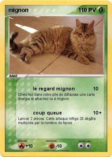 Pokemon mignon