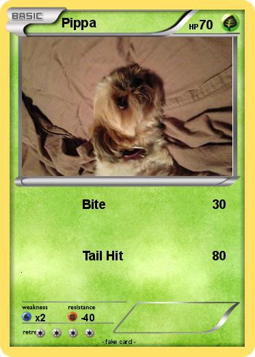 Pokemon Pippa
