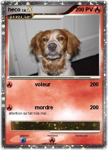 Pokemon heco