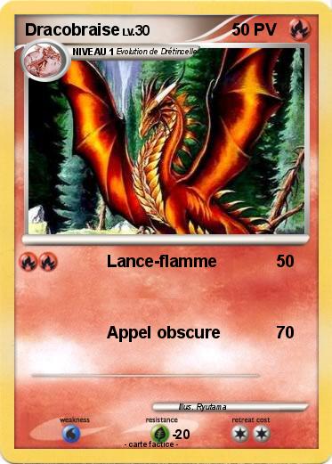Pokemon Dracobraise