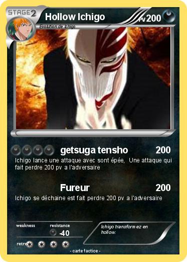 Pokemon Hollow Ichigo