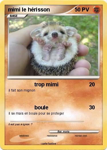 Pokemon mimi le hérisson