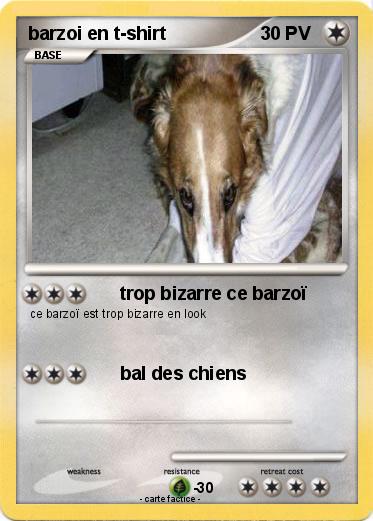 Pokemon barzoi en t-shirt