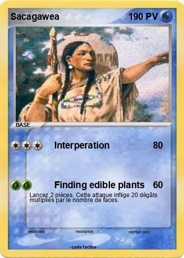 Pokemon Sacagawea