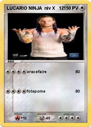 Pokemon LUCARIO NINJA  niv X   12